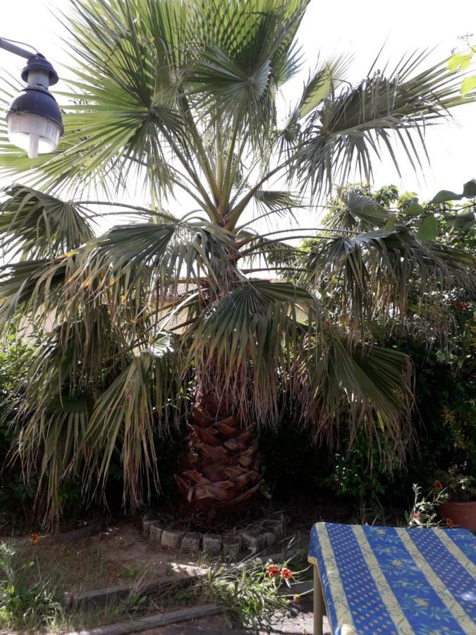 Rez De Chaussee Studio Climatise Dans Villa إج مورت المظهر الخارجي الصورة